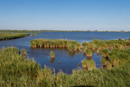 River cruise through the Ebro Delta river