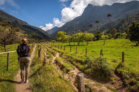Hiking in Cocora Valley with 4x4 off-road experience