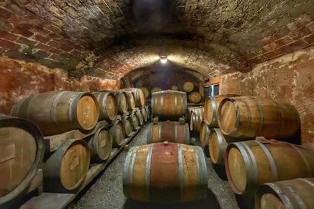 Wine experience in Piedmont