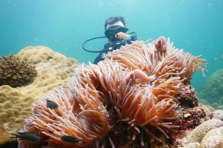 Southern Phu Quoc scuba diving experience