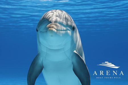 Sunset boat tour to Brijuni National Park with dinner and dolphin watching