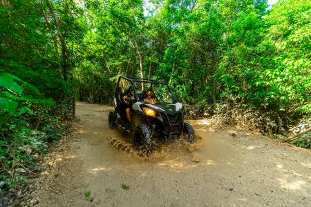 Jungle Adventure with Buggy Ride, Zip Line, Cenote and Tequila Tasting