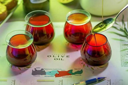 Extra virgin olive oil guided tasting at a winery