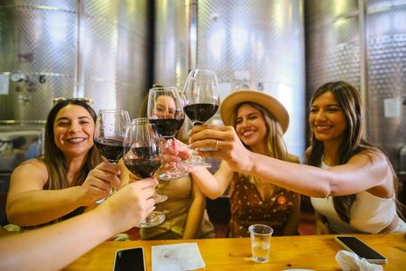 Italian wine tasting experience with expert guide in Florence