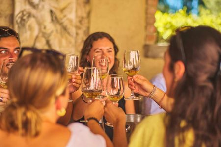 Guided wine tasting tour in Florence with a professional connoisseur