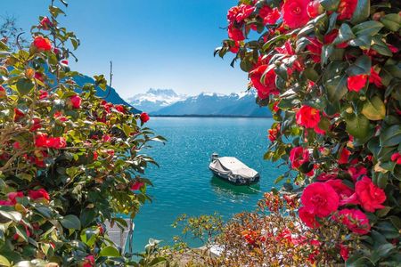 1-hour walking tour of Montreux with a local