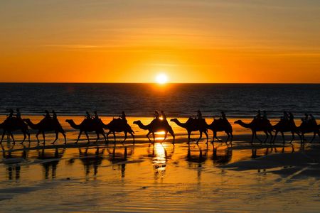 Sunrise camel ride, breakfast, and swimming in Djerba