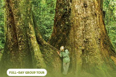 Discover Cuc Phuong National Park full-day tour from Ha Noi