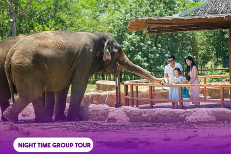 River Safari experience with romantic candlelit dinner by the beach