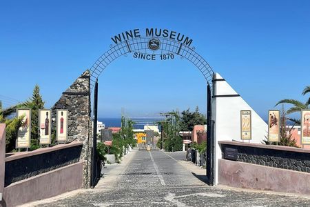 Santorini half-day family tour with wine museum visit