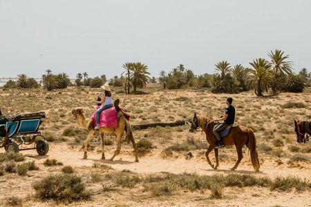 Camel, horse and carriage tour of Djerba's countryside