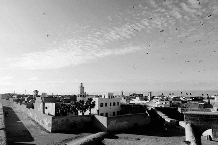 Full-day excursion to Al Jadida from Casablanca