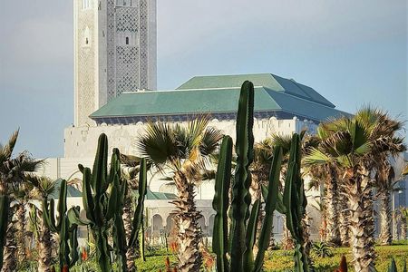 Casablanca Full-Day Trip from Marrakech
