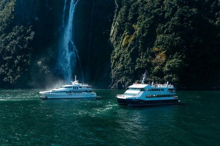 Milford Sound cruise experience