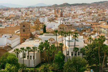 Discover Malaga on a guided tour with a local