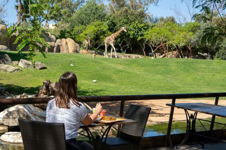 Entrance ticket to Bioparc Valencia