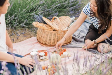 Snacking experience in lavender fields in Aix-en-Provence