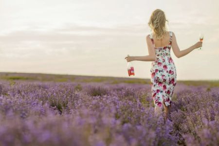 Lavender field self-guided tour with bottle of Rosé