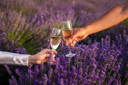 Lavender field self-guided tour with bottle of Champagne