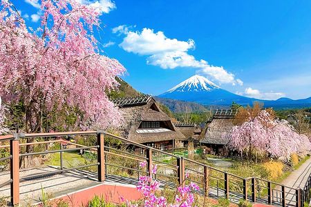 Mount Fuji top 4 must-visit attractions full day tour from Tokyo