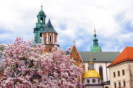 1-hour Tour of Krakow with a Local
