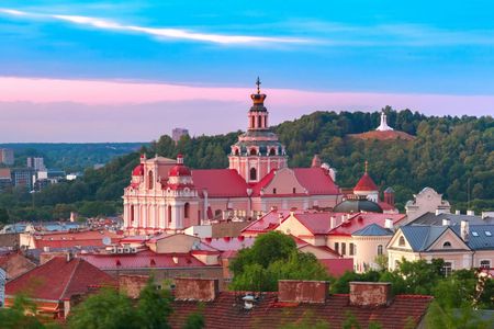 1-hour tour of Vilnius with a local as your guide