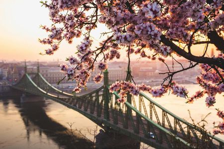 Guided tour to Budapest's photogenic places with a local