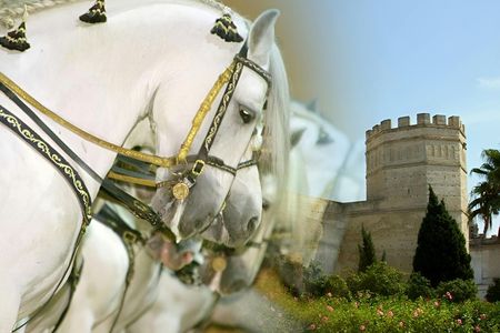 Jerez guided tour with Royal Andalusian School of Equestrian Art