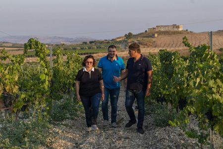 Wine and extra virgin olive oil tasting in the Agrigento countryside