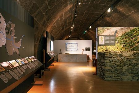Fonseca Cellar Tour and The Wine Experience Pack