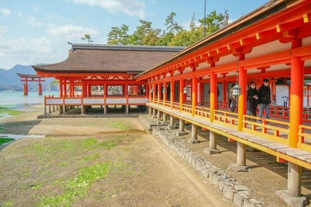 Day trip to Hiroshima and Miyajima by bullet train from Kyoto