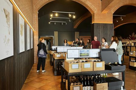 Familia Torres Winery Tour: Gastronomic & Wine Experience