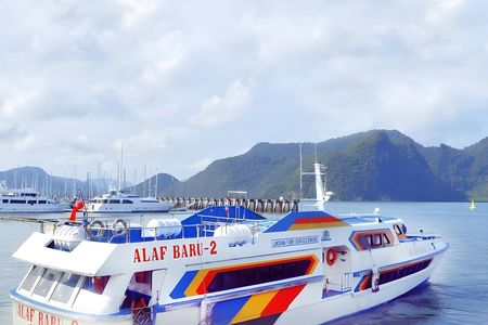 One-way ferry tickets between Langkawi and Koh Lipe