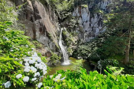 Guided adventure tour through nature and marine life