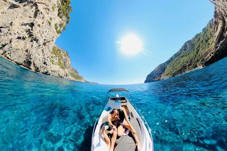 Sunrise dolphin watching and snorkelling tour in Mallorca