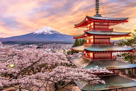 Tour to Mt. Fuji Area, Oshino Hakkai and Kawaguchi Lake from Tokyo