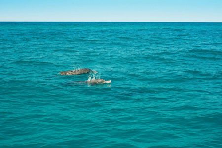 Morning speedboat tour and Papagayo Beach visit – ticket only