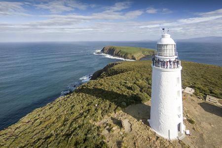 Bruny Island safaris, local food tasting and lighthouse tour