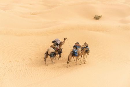2-day desert tour from Tunis, Sousse or Hammamet