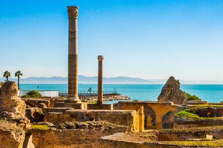 Tunis and Carthage tour with hotel pickup and guide driver