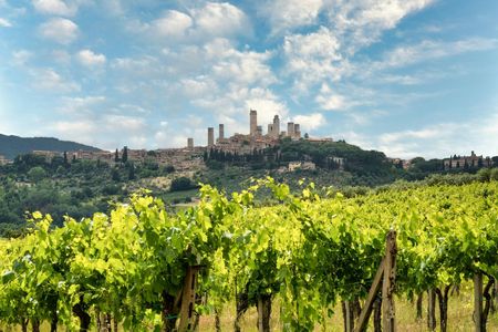 Horseback riding and winery lunch experience in San Gimignano