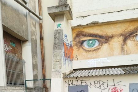 Street Art guided tour in Croix-Rousse