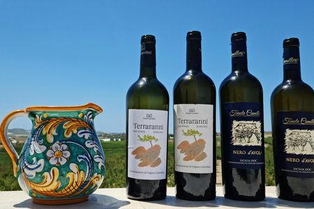 Nero d'Avola tasting and bottling experience in Agrigento