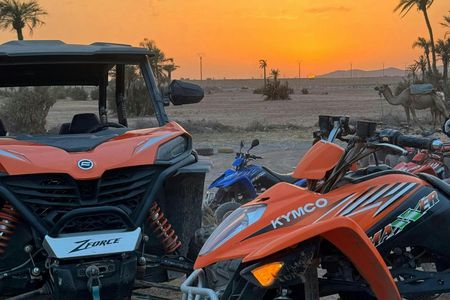 Marrakech 2-hour quad bike ride in the palm grove