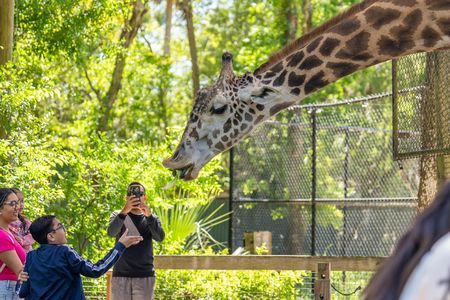 Central Florida Zoo and Botanical Gardens skip-the-line ticket