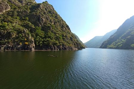 Ribeira Sacra and Ourense guided day trip with river cruise