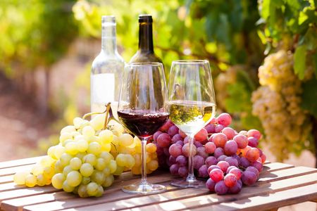Prosecco tasting in Contovello vineyard with local winemaker