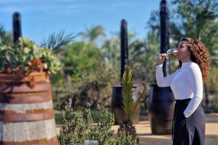 Wine tasting and tapas guided tour from Alicante