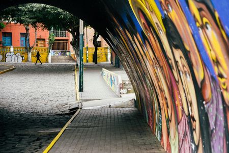 Barranco district half-day guided tour with street food tastings