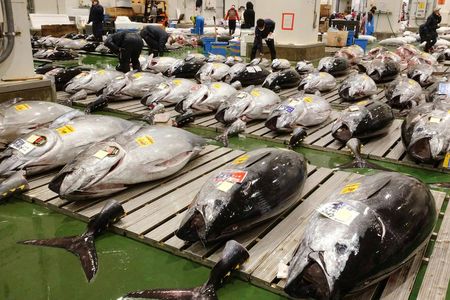 Toyosu tuna auction, seafood breakfast, and tsukiji stroll in Tokyo